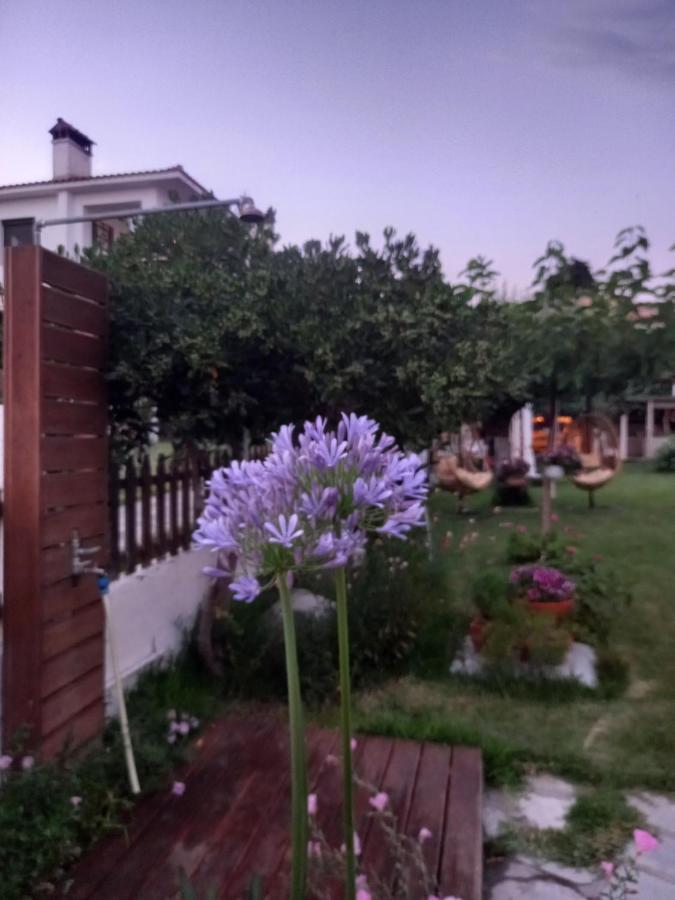Traditional Arsanas Apartments Nikiti  Exterior photo