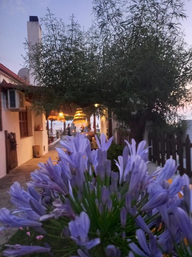 Traditional Arsanas Apartments Nikiti  Exterior photo